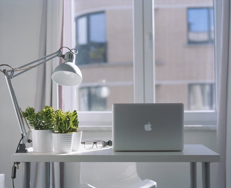The Green Revolution: Why Plants in Offices Are Essential