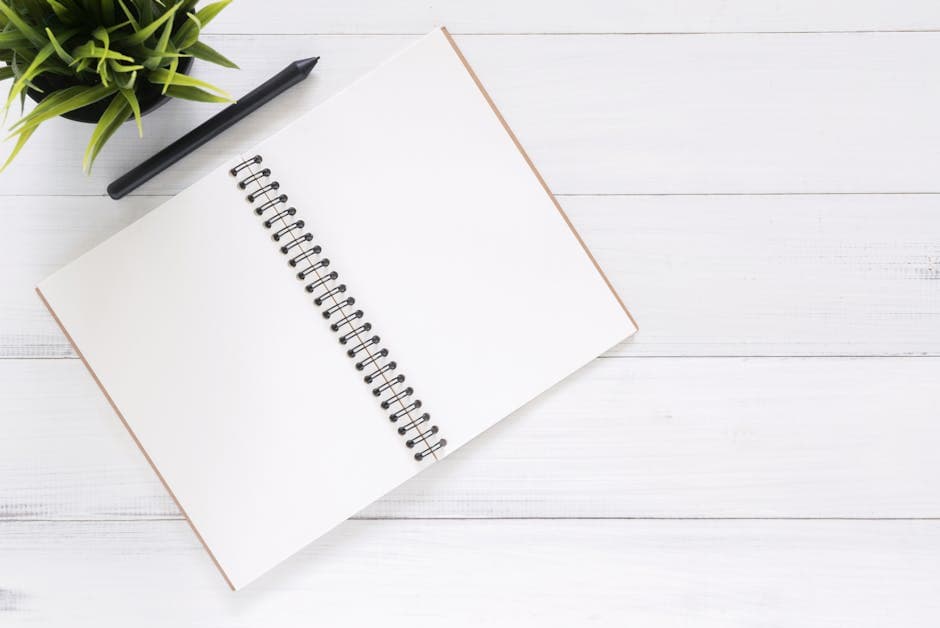 Expert Advice: Choosing the Best Office Plants for Your